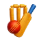 Cricket guide